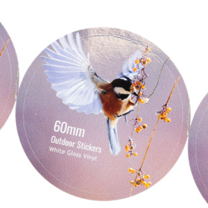 Extreme close-up of a 60mm diameter Wide Format Printed Vinyl Sticker